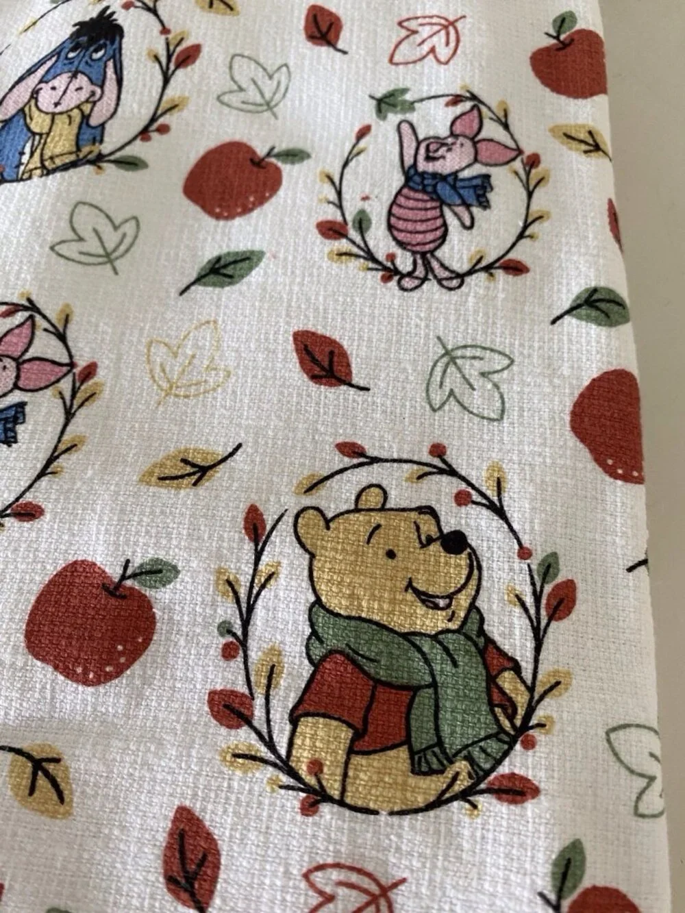 Disney pk winnie